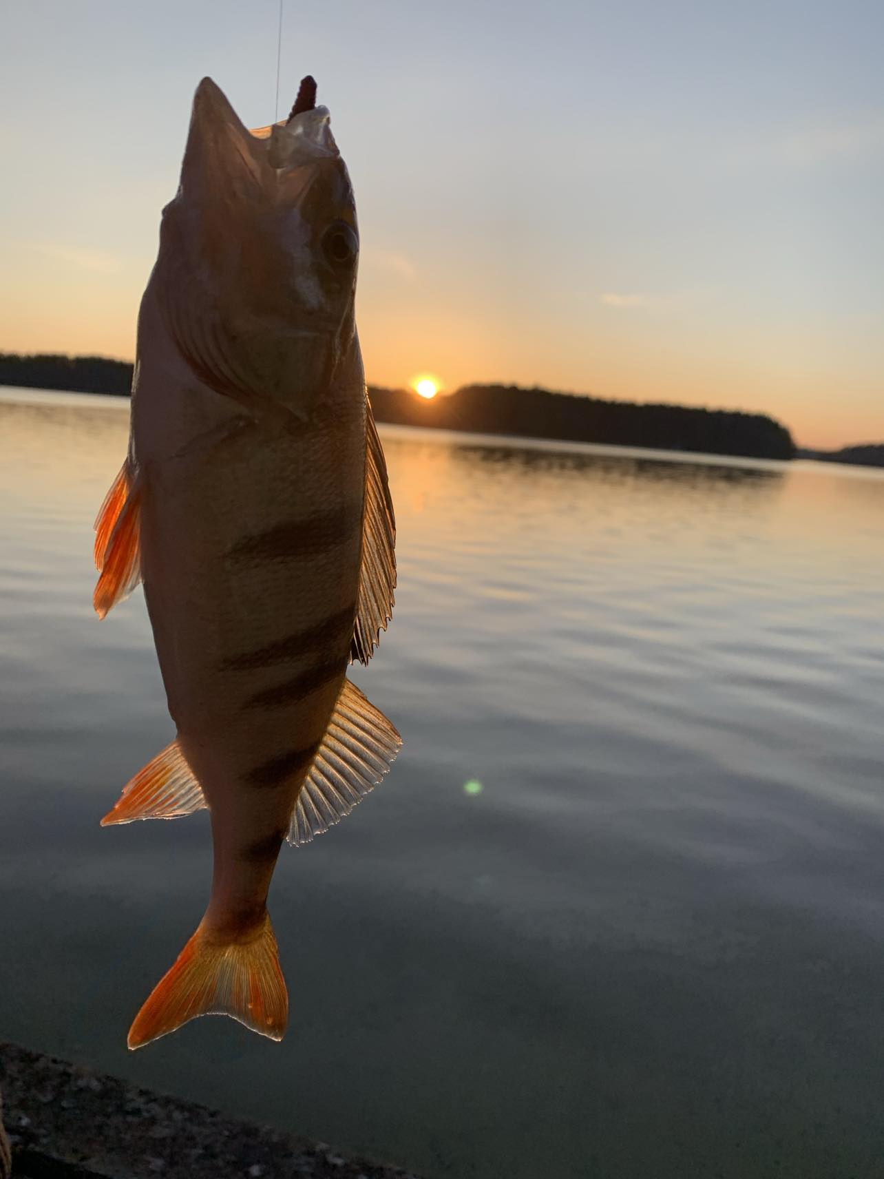 483521542_1005526494835740_3541948693604238922_n